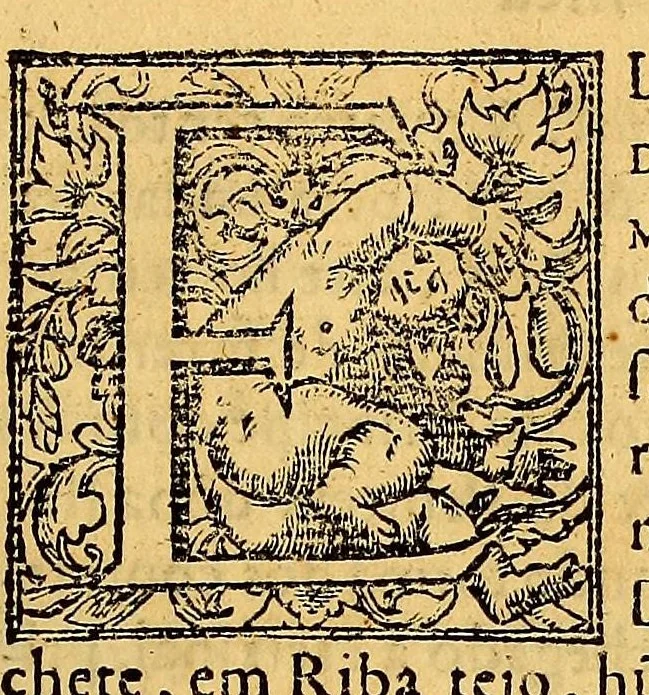 An illustration from Chronica do felicissimo rei Dom Emanuel,, 1566, leaf 21