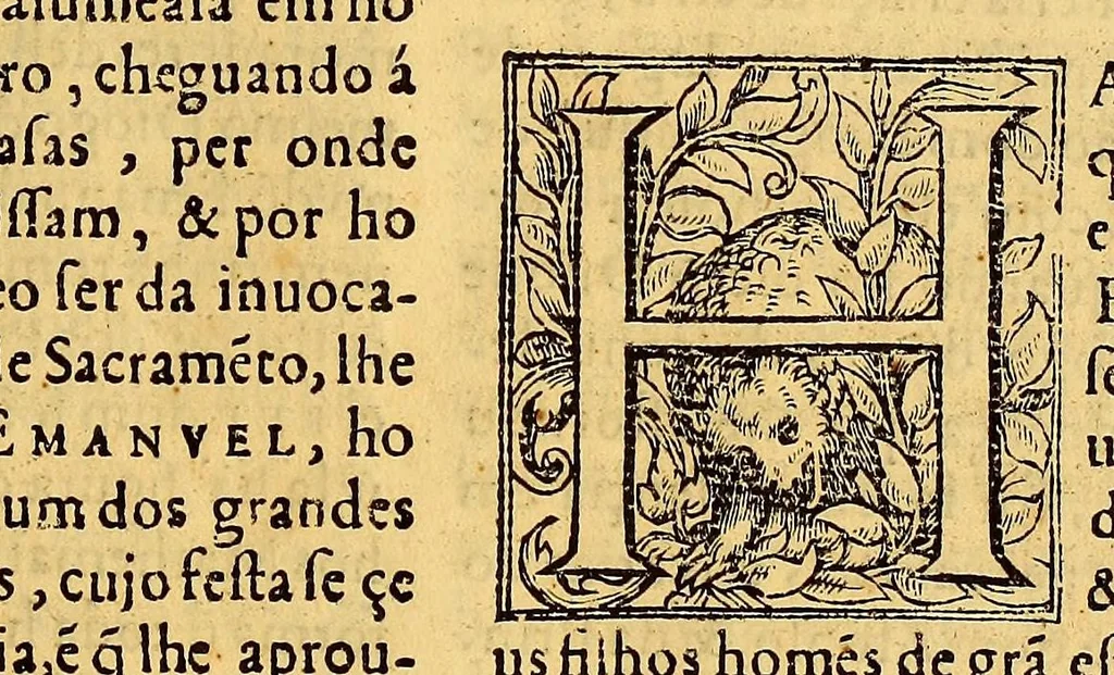 An illustration from Chronica do felicissimo rei Dom Emanuel,, 1566, leaf 21