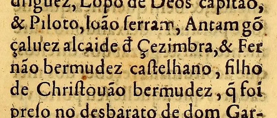 An illustration from Chronica do felicissimo rei Dom Emanuel,, 1566, leaf 233