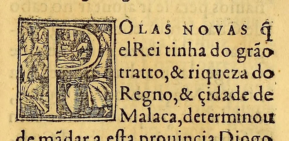 An illustration from Chronica do felicissimo rei Dom Emanuel,, 1566, leaf 297