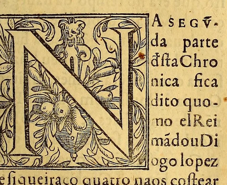 An illustration from Chronica do felicissimo rei Dom Emanuel,, 1566, leaf 391