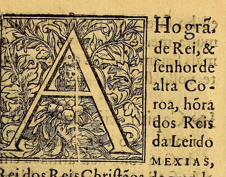 An illustration from Chronica do felicissimo rei Dom Emanuel,, 1566, leaf 703