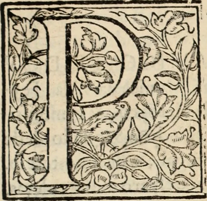An illustration from Chronica dos valerosos e insignes feitos del Rey Dom IoÃ£o II, de gloriosa memoria, em que se refere, sua vida, suas virtudes, seu magnanimo esforÃ§o, excellentes costumes, e seu Christianissimo zelo, 1622, leaf 10