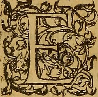 An illustration from Chronica, o descripcio dels fets, e hazanyes del inclyt rey Don Iavme Primer : rey Darago, de Mallorques, e de Valencia: compte de Barcelona, e de Muntpesller : e de molts desos descendents, 1562, leaf 237