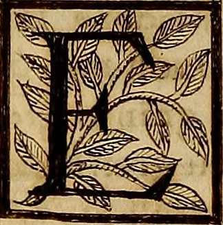 An illustration from Chronica, o descripcio dels fets, e hazanyes del inclyt rey Don Iavme Primer : rey Darago, de Mallorques, e de Valencia: compte de Barcelona, e de Muntpesller : e de molts desos descendents, 1562, leaf 295