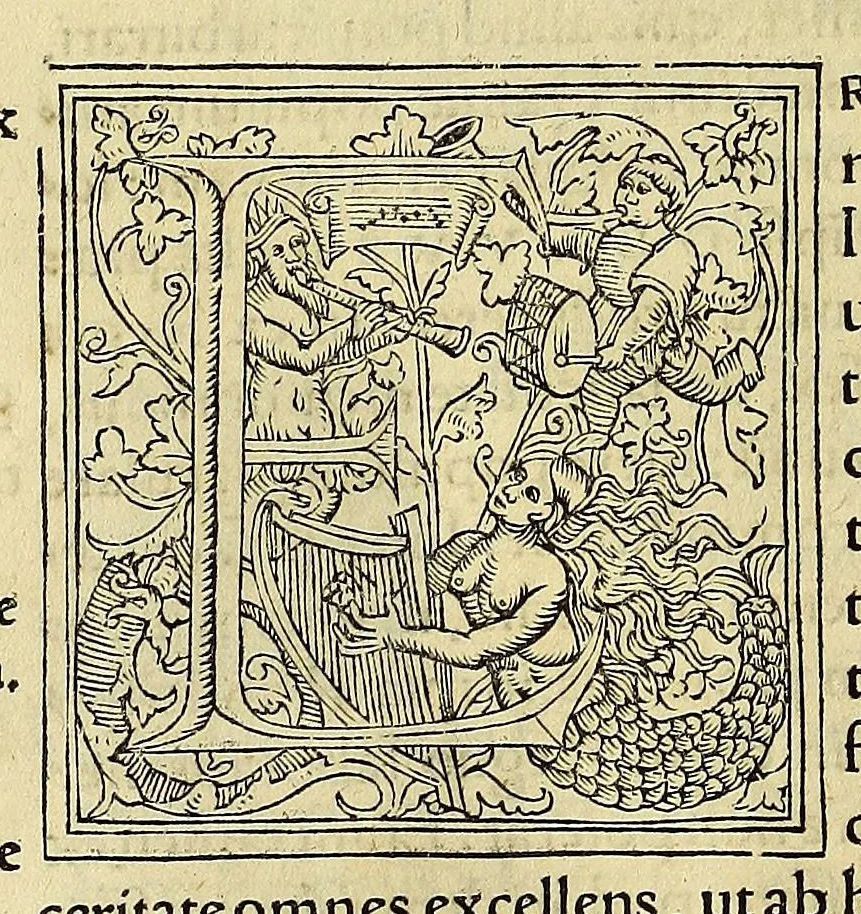 An illustration from Chronica regnorum aquilonarium Daniæ Suetiæ Noruagiæ, 1548, leaf 188