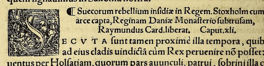 An illustration from Chronica regnorum aquilonarium Daniæ Suetiæ Noruagiæ, 1548, leaf 372