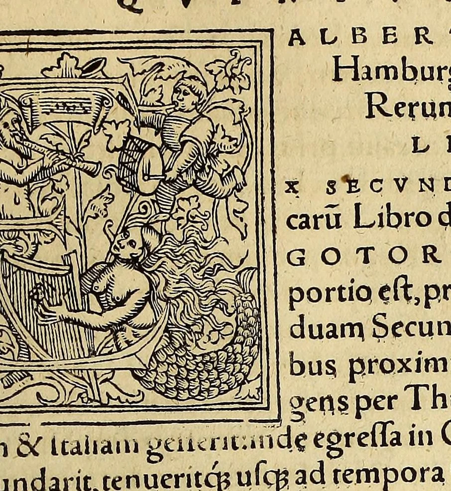 An illustration from Chronica regnorum aquilonarium Daniæ Suetiæ Noruagiæ, 1548, leaf 553