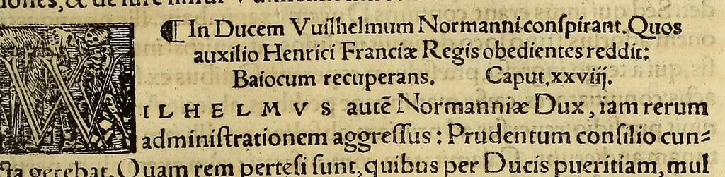 An illustration from Chronica regnorum aquilonarium Daniæ Suetiæ Noruagiæ, 1548, leaf 719