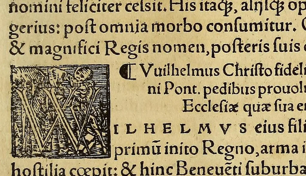 An illustration from Chronica regnorum aquilonarium Daniæ Suetiæ Noruagiæ, 1548, leaf 741