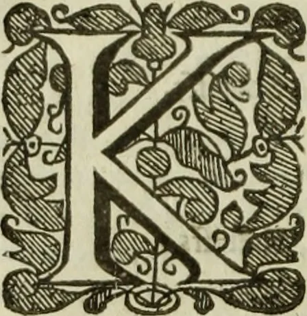 An illustration from A chronicle of the kings of England from the time of the Romans government unto the death of King James ..., 1670, leaf 265