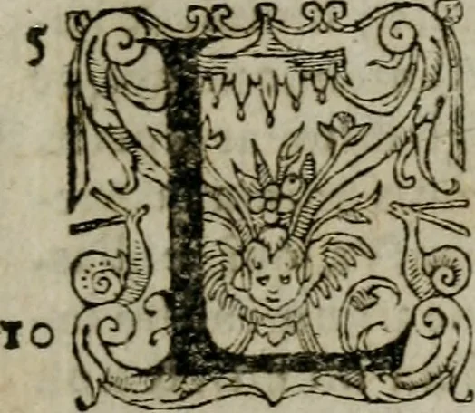 An illustration from Chronicon Carionis, expositvm et avctvm, multis & veteribus, & recentibus historiis, in descriptionibus regnorum & gentium antiquarum, & narrationibus rerum ecclesiasticarum & politicarum, Graecarum, Romanarum, Germanicarum, & aliarum, ab exordio mundi, vsque ad annum salutis per Christum partae 1612, nempe Rudolphi II. excessum, 1617, leaf 44