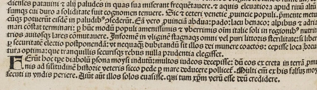 An illustration from Registrum huius operis Libri cronicarum cu[m] figuris et ÿmagi[ni]bus ab inicio mu[n]di., leaf 315