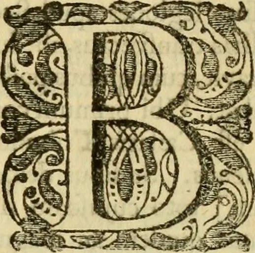 An illustration from Chronicon saxonicum : seu Annales rerum in Anglia præcique gestarum, a Christo nato ad annum usque MCLIV. deducti, ac jam demum latinitate donati. Cum indice rerum chronologico. Accedunt regulæ ad investigandas nominum locorum origines. Et nominum locorum ac virorum in chronico memoratorum explicatio, 1692, leaf 18