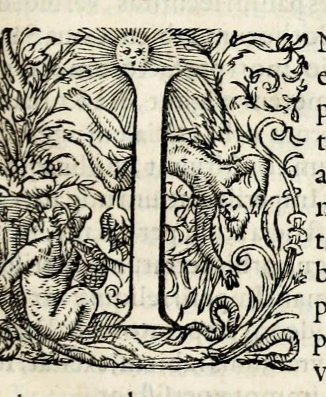 An illustration from Chronicorvm Tvrcicorvm, in quibus Tvrcorvm origo, principes, imperatores, bella, praelia, caedes, victoriae, reiqve militaris ratio, et caetera huc pertinentia ... exponuntur; et Mahometicae religionis instituta, iudiciorumq. processus, & aulae constitutio; procerum item ac populi mores, vitaeq. degendae ratio percensetur: accessere, Narratio de Baiazethis filiorvm seditionibvs; Tvrcicarvm item rerum epitome; ... et Iohannis Aventini Liber, in quo causae miseriarum, quibus Christiana respub. premitur, indicantur ... tomvs primvs, 1578, leaf 11