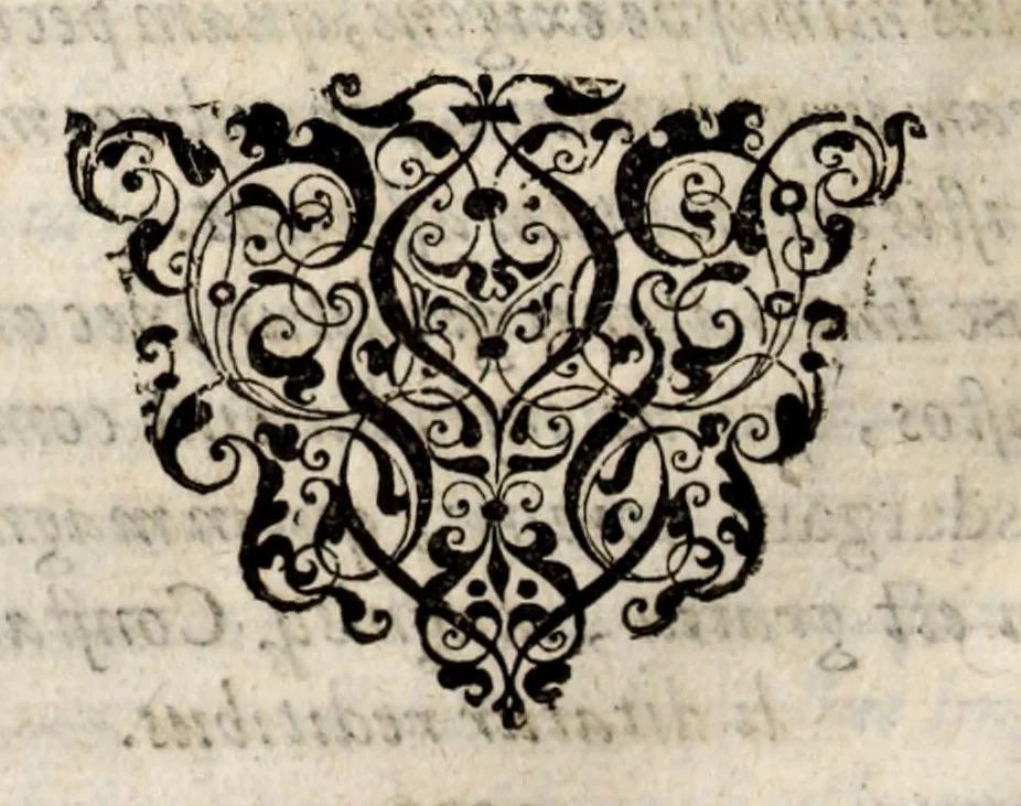 An illustration from Chronicorvm Tvrcicorvm, in quibus Tvrcorvm origo, principes, imperatores, bella, praelia, caedes, victoriae, reiqve militaris ratio, et caetera huc pertinentia ... exponuntur; et Mahometicae religionis instituta, iudiciorumq. processus, & aulae constitutio; procerum item ac populi mores, vitaeq. degendae ratio percensetur: accessere, Narratio de Baiazethis filiorvm seditionibvs; Tvrcicarvm item rerum epitome; ... et Iohannis Aventini Liber, in quo causae miseriarum, quibus Christiana respub. premitur, indicantur ... tomvs primvs, 1578, leaf 180