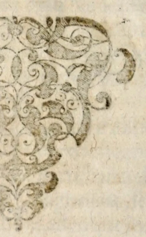 An illustration from Chronicorvm Tvrcicorvm, in quibus Tvrcorvm origo, principes, imperatores, bella, praelia, caedes, victoriae, reiqve militaris ratio, et caetera huc pertinentia ... exponuntur; et Mahometicae religionis instituta, iudiciorumq. processus, & aulae constitutio; procerum item ac populi mores, vitaeq. degendae ratio percensetur: accessere, Narratio de Baiazethis filiorvm seditionibvs; Tvrcicarvm item rerum epitome; ... et Iohannis Aventini Liber, in quo causae miseriarum, quibus Christiana respub. premitur, indicantur ... tomvs primvs, 1578, leaf 246