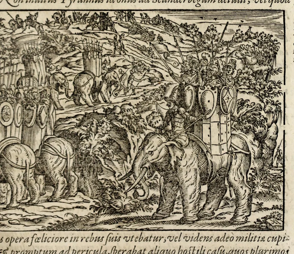 An illustration from Chronicorvm Tvrcicorvm, in quibus Tvrcorvm origo, principes, imperatores, bella, praelia, caedes, victoriae, reiqve militaris ratio, et caetera huc pertinentia ... exponuntur; et Mahometicae religionis instituta, iudiciorumq. processus, & aulae constitutio; procerum item ac populi mores, vitaeq. degendae ratio percensetur: accessere, Narratio de Baiazethis filiorvm seditionibvs; Tvrcicarvm item rerum epitome; ... et Iohannis Aventini Liber, in quo causae miseriarum, quibus Christiana respub. premitur, indicantur ... tomvs primvs, 1578, leaf 561