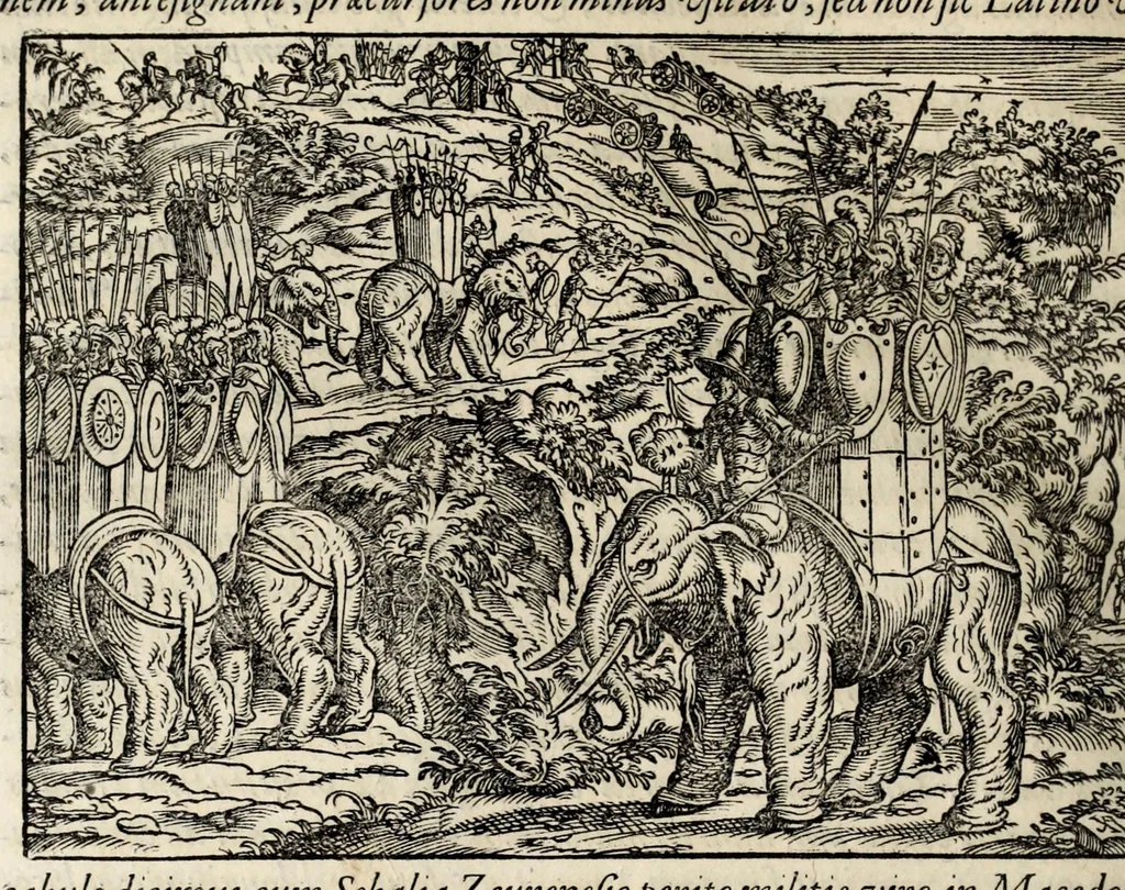 An illustration from Chronicorvm Tvrcicorvm, in quibus Tvrcorvm origo, principes, imperatores, bella, praelia, caedes, victoriae, reiqve militaris ratio, et caetera huc pertinentia ... exponuntur; et Mahometicae religionis instituta, iudiciorumq. processus, & aulae constitutio; procerum item ac populi mores, vitaeq. degendae ratio percensetur: accessere, Narratio de Baiazethis filiorvm seditionibvs; Tvrcicarvm item rerum epitome; ... et Iohannis Aventini Liber, in quo causae miseriarum, quibus Christiana respub. premitur, indicantur ... tomvs primvs, 1578, leaf 746
