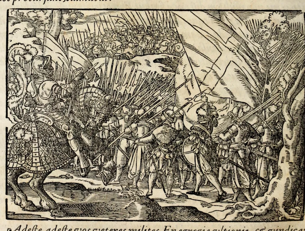 An illustration from Chronicorvm Tvrcicorvm, in quibus Tvrcorvm origo, principes, imperatores, bella, praelia, caedes, victoriae, reiqve militaris ratio, et caetera huc pertinentia ... exponuntur; et Mahometicae religionis instituta, iudiciorumq. processus, & aulae constitutio; procerum item ac populi mores, vitaeq. degendae ratio percensetur: accessere, Narratio de Baiazethis filiorvm seditionibvs; Tvrcicarvm item rerum epitome; ... et Iohannis Aventini Liber, in quo causae miseriarum, quibus Christiana respub. premitur, indicantur ... tomvs primvs, 1578, leaf 804