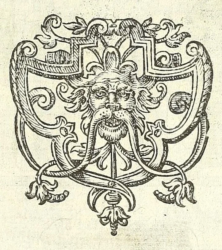 An illustration from Chronijcke van de hertoghen van Brabant : waer in hun leuen, oorloghen, ende acten perfectelijk beschreuen zijn ..., 1606, leaf 119