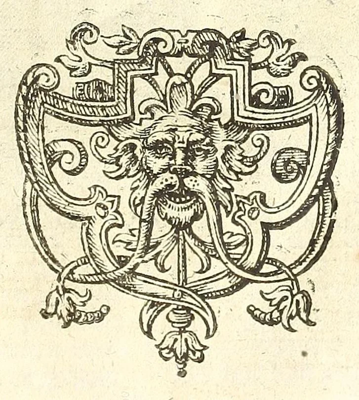 An illustration from Chronijcke van de hertoghen van Brabant : waer in hun leuen, oorloghen, ende acten perfectelijk beschreuen zijn ..., 1606, leaf 53