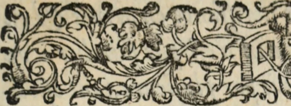 An illustration from Chronique bourdeloise, 1594, leaf 12