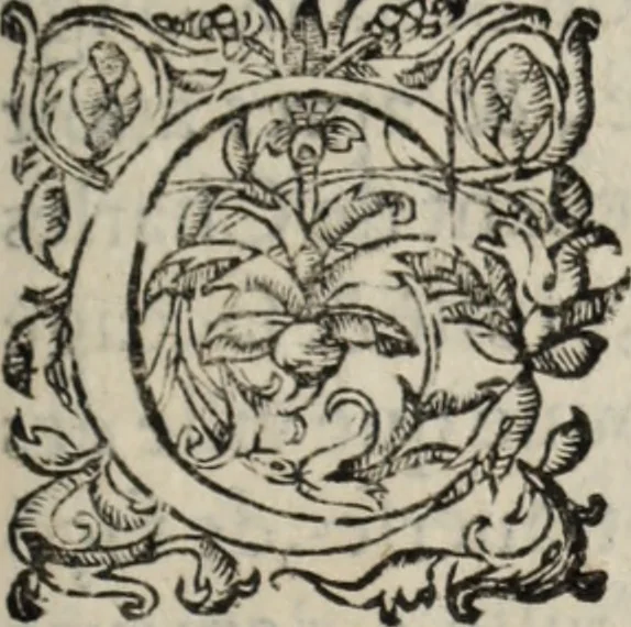 An illustration from Chronique bourdeloise, 1594, leaf 134