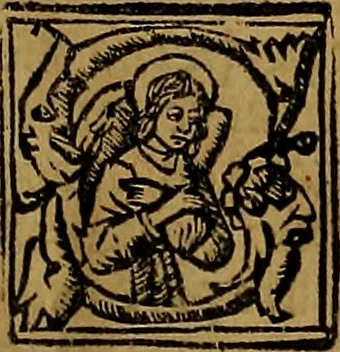 An illustration from Chroniques de Espãya fins aci no divulgades : que tracta d'Is Noblese e Inuictissims Reys dels Gots: y gestes de aquells: y dels Gotes de Barcelona: e Reys de Arago: ab moltes coses dignes de perpetua memoria, 1547, leaf 12