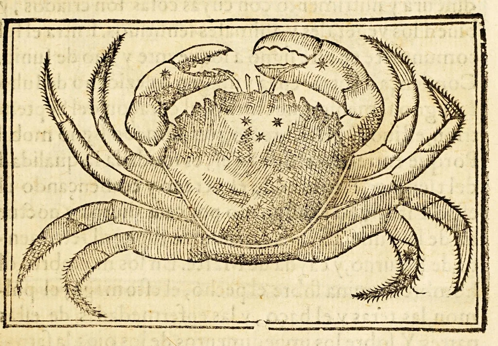 An illustration from Chronographia o reportorio de tiempos, el mas copioso y precisso, : que hasta ahora ha solido a luz., 1584, leaf 237