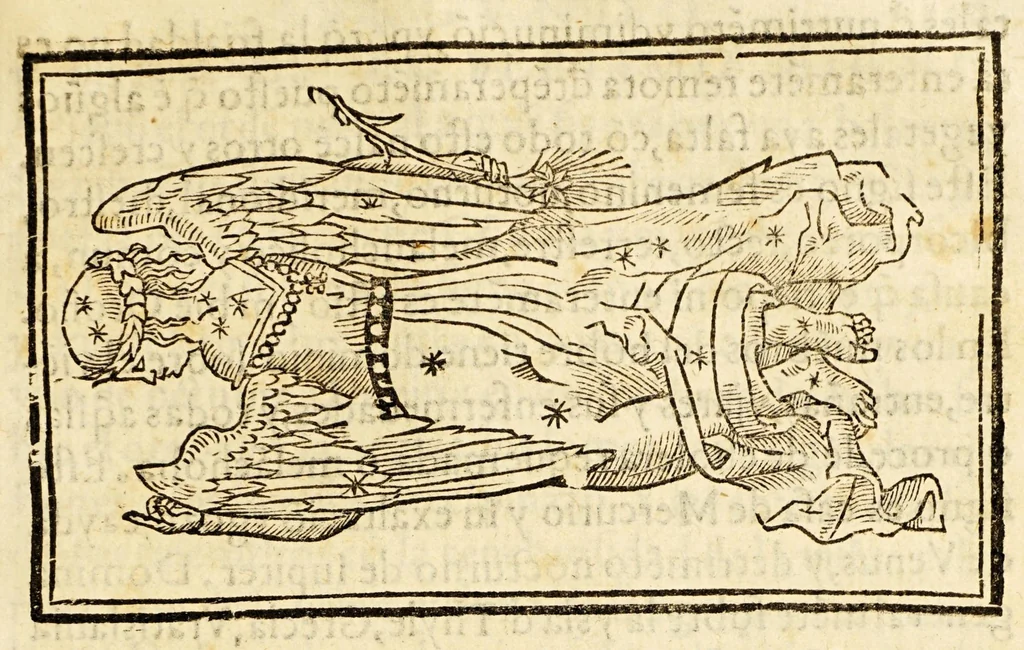 An illustration from Chronographia o reportorio de tiempos, el mas copioso y precisso, : que hasta ahora ha solido a luz., 1584, leaf 241