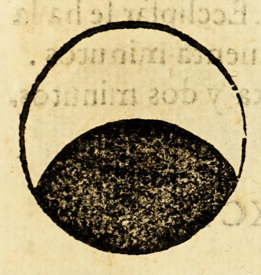 An illustration from Chronographia o reportorio de tiempos, el mas copioso y precisso, : que hasta ahora ha solido a luz., 1584, leaf 400