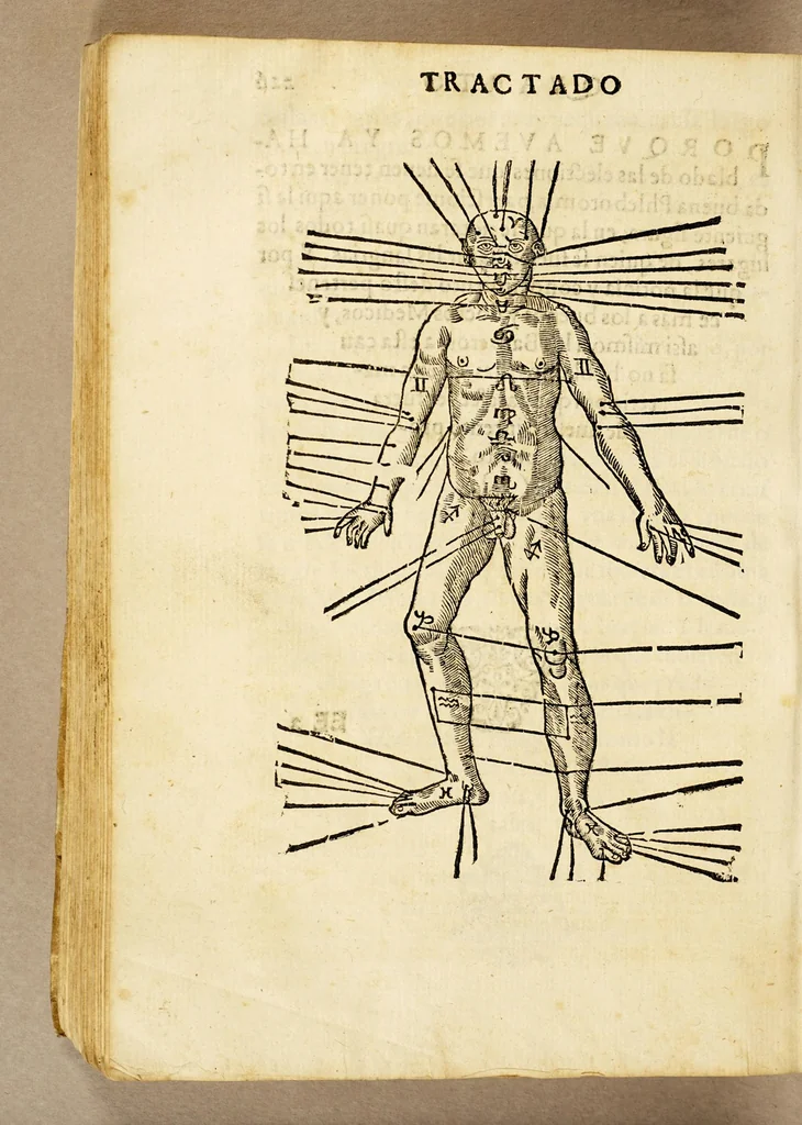 An illustration from Chronographia o reportorio de tiempos, el mas copioso y precisso, : que hasta ahora ha solido a luz., 1584, leaf 440