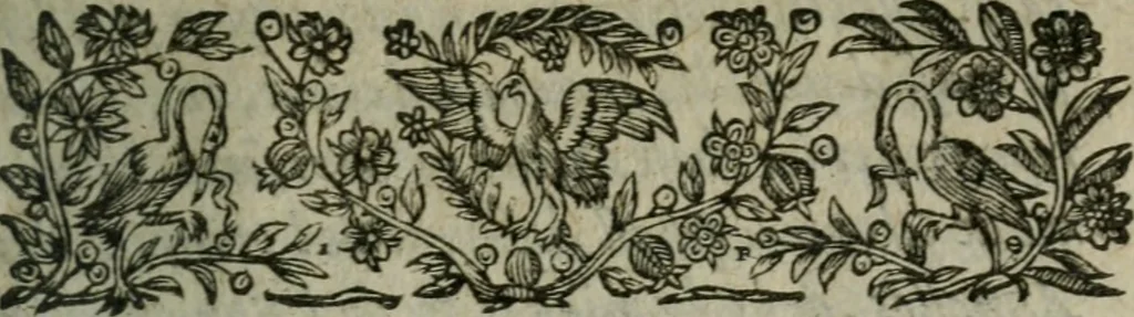 An illustration from Chronologie septenaire de l'histoire de la paix entre les roys de France et d'Espagne : contenant les choses plus memorables aduenuës en France, Espagne, Allemagne, Italie, Angleterre, Escosse, Flandres, Hongrie, Pologne, Suece, Transsyluanie, [et] autres endroits de l'Europe: auec le succez aux Indes Orientales, Occidentales [et] Septentrionales, depuis le commencement de l'an 1598 iusques à la fin de l'an 1604. Divisee en sept livres, 1605, leaf 10