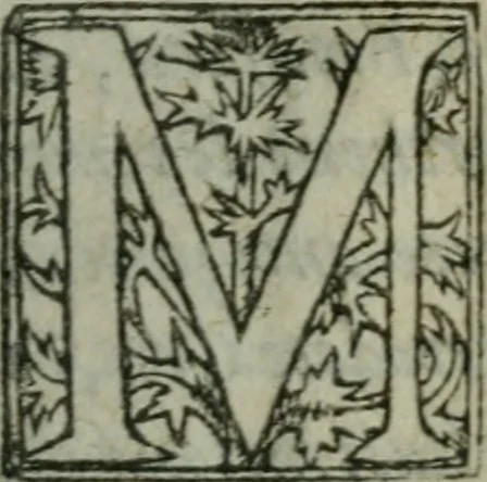 An illustration from Chronologie septenaire de l'histoire de la paix entre les roys de France et d'Espagne : contenant les choses plus memorables aduenuës en France, Espagne, Allemagne, Italie, Angleterre, Escosse, Flandres, Hongrie, Pologne, Suece, Transsyluanie, [et] autres endroits de l'Europe: auec le succez aux Indes Orientales, Occidentales [et] Septentrionales, depuis le commencement de l'an 1598 iusques à la fin de l'an 1604. Divisee en sept livres, 1605, leaf 10