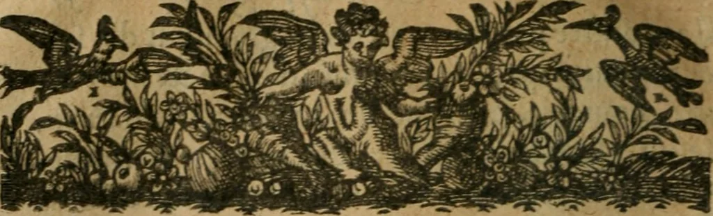 An illustration from Chronologie septenaire de l'histoire de la paix entre les roys de France et d'Espagne : contenant les choses plus memorables aduenuës en France, Espagne, Allemagne, Italie, Angleterre, Escosse, Flandres, Hongrie, Pologne, Suece, Transsyluanie, [et] autres endroits de l'Europe: auec le succez aux Indes Orientales, Occidentales [et] Septentrionales, depuis le commencement de l'an 1598 iusques à la fin de l'an 1604. Divisee en sept livres, 1605, leaf 127