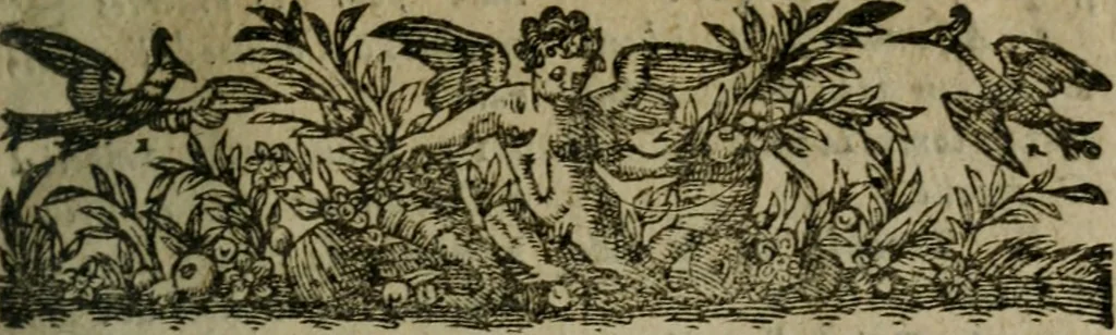 An illustration from Chronologie septenaire de l'histoire de la paix entre les roys de France et d'Espagne : contenant les choses plus memorables aduenuës en France, Espagne, Allemagne, Italie, Angleterre, Escosse, Flandres, Hongrie, Pologne, Suece, Transsyluanie, [et] autres endroits de l'Europe: auec le succez aux Indes Orientales, Occidentales [et] Septentrionales, depuis le commencement de l'an 1598 iusques à la fin de l'an 1604. Divisee en sept livres, 1605, leaf 14
