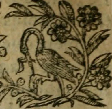 An illustration from Chronologie septenaire de l'histoire de la paix entre les roys de France et d'Espagne : contenant les choses plus memorables aduenuës en France, Espagne, Allemagne, Italie, Angleterre, Escosse, Flandres, Hongrie, Pologne, Suece, Transsyluanie, [et] autres endroits de l'Europe: auec le succez aux Indes Orientales, Occidentales [et] Septentrionales, depuis le commencement de l'an 1598 iusques à la fin de l'an 1604. Divisee en sept livres, 1605, leaf 565