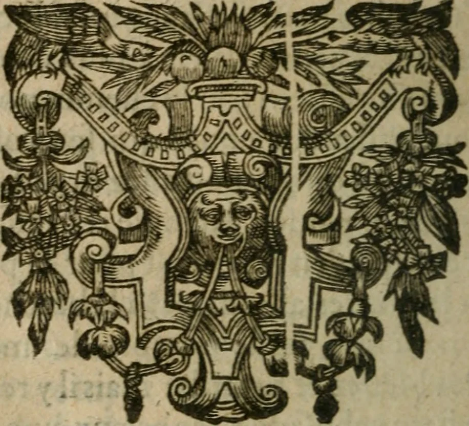 An illustration from Chronologie septenaire de l'histoire de la paix entre les roys de France et d'Espagne : contenant les choses plus memorables aduenuës en France, Espagne, Allemagne, Italie, Angleterre, Escosse, Flandres, Hongrie, Pologne, Suece, Transsyluanie, [et] autres endroits de l'Europe: auec le succez aux Indes Orientales, Occidentales [et] Septentrionales, depuis le commencement de l'an 1598 iusques à la fin de l'an 1604. Divisee en sept livres, 1605, leaf 767