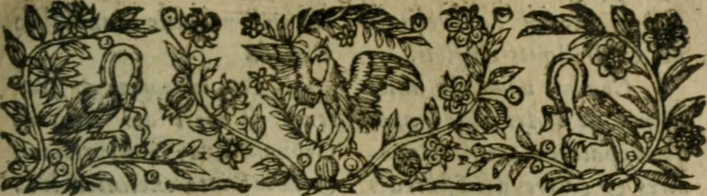 An illustration from Chronologie septenaire de l'histoire de la paix entre les roys de France et d'Espagne : contenant les choses plus memorables aduenuës en France, Espagne, Allemagne, Italie, Angleterre, Escosse, Flandres, Hongrie, Pologne, Suece, Transsyluanie, [et] autres endroits de l'Europe: auec le succez aux Indes Orientales, Occidentales [et] Septentrionales, depuis le commencement de l'an 1598 iusques à la fin de l'an 1604. Divisee en sept livres, 1605, leaf 768