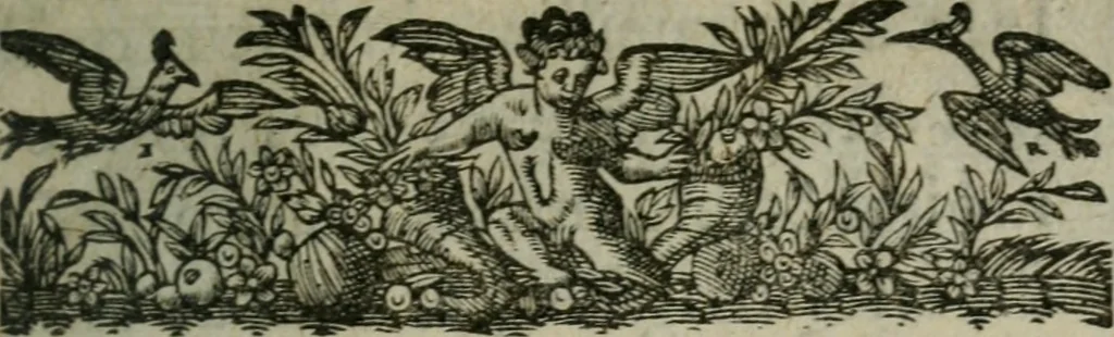An illustration from Chronologie septenaire de l'histoire de la paix entre les roys de France et d'Espagne : contenant les choses plus memorables aduenuës en France, Espagne, Allemagne, Italie, Angleterre, Escosse, Flandres, Hongrie, Pologne, Suece, Transsyluanie, [et] autres endroits de l'Europe: auec le succez aux Indes Orientales, Occidentales [et] Septentrionales, depuis le commencement de l'an 1598 iusques à la fin de l'an 1604. Divisee en sept livres, 1605, leaf 8