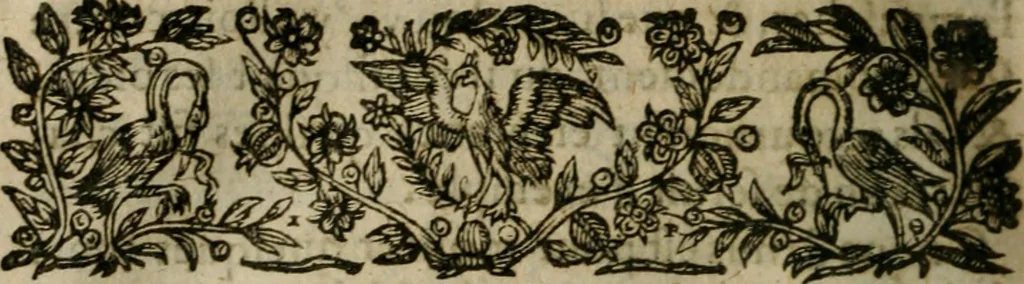 An illustration from Chronologie septenaire de l'histoire de la paix entre les roys de France et d'Espagne : contenant les choses plus memorables aduenuës en France, Espagne, Allemagne, Italie, Angleterre, Escosse, Flandres, Hongrie, Pologne, Suece, Transsyluanie, [et] autres endroits de l'Europe: auec le succez aux Indes Orientales, Occidentales [et] Septentrionales, depuis le commencement de l'an 1598 iusques à la fin de l'an 1604. Divisee en sept livres, 1605, leaf 881
