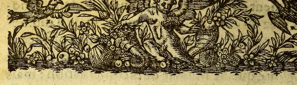 An illustration from Chronologie septenaire de l'histoire de la paix entre les roys de France et d'Espagne. : Contenant les choses plus memorables aduenuës en France, Espagne ... & autres endroits de l'Europe : auec le succez de plusieurs nauigations faictes aux Indes Orientales, Occidentales & Septentrionales, depuis le commencement de l'an 1598. iusques à la fin de l'an 1604. : Diuisee en sept liures, 1609, leaf 774
