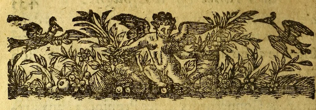 An illustration from Chronologie septenaire de l'histoire de la paix entre les roys de France et d'Espagne. : Contenant les choses plus memorables aduenuës en France, Espagne ... & autres endroits de l'Europe : auec le succez de plusieurs nauigations faictes aux Indes Orientales, Occidentales & Septentrionales, depuis le commencement de l'an 1598. iusques à la fin de l'an 1604. : Diuisee en sept liures, 1609, leaf 888