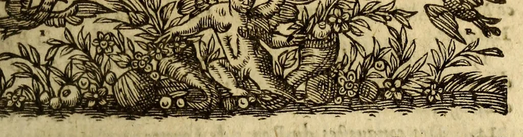 An illustration from Chronologie septenaire de l'histoire de la paix entre les roys de France et d'Espagne. : Contenanant [sic] les choses plus memorables aduenuës en France, Espagne ... & autres endroits de l'Europe : auec le succez de plusieurs nauigations faictes aux Indes Orientales, Occidentales & Septentrionales, depuis le commencement de l'an 1598. iusques à la fin de l'an 1604. : Diuisee en sept liures, 1607, leaf 231
