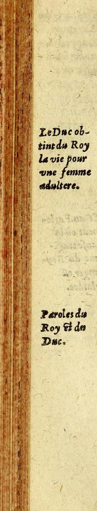 An illustration from Chronologie septenaire de l'histoire de la paix entre les roys de France et d'Espagne. : Contenanant [sic] les choses plus memorables aduenuës en France, Espagne ... & autres endroits de l'Europe : auec le succez de plusieurs nauigations faictes aux Indes Orientales, Occidentales & Septentrionales, depuis le commencement de l'an 1598. iusques à la fin de l'an 1604. : Diuisee en sept liures, 1607, leaf 236