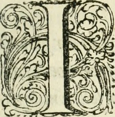 An illustration from Chronyck van Hollandt, Zeelandt, ende Westvrieslandt, 1650, leaf 20