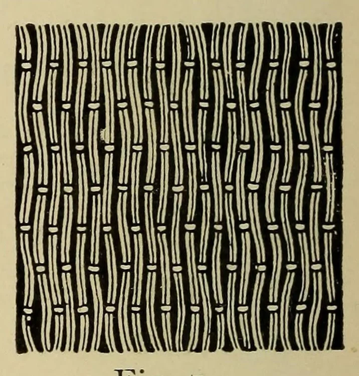 An illustration from Church embroidery, 1911, leaf 136