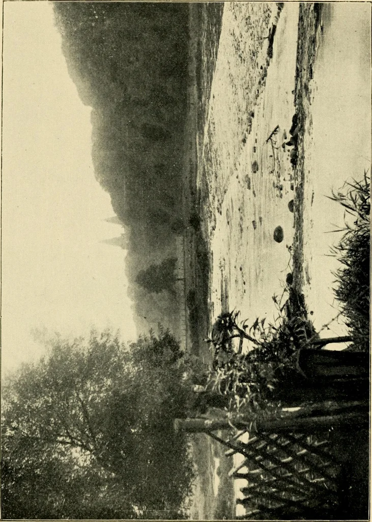 An illustration from The churches of Buchan and notes by the way : being short sketches of the early history of Christianity in Scotland, from its introduction to the Reformation, 1899, leaf 97