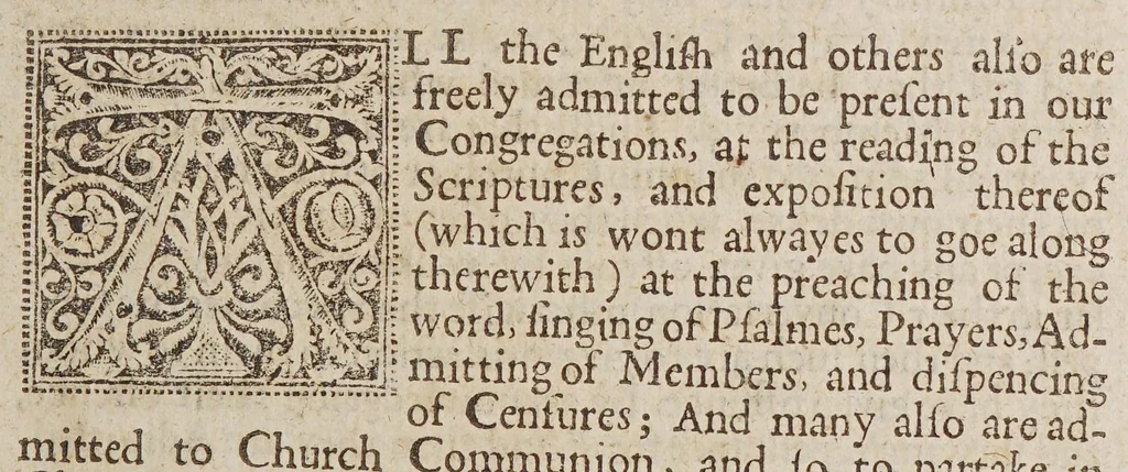 An illustration from Church-government and church-covenant discussed, : in an answer of the elders of the severall churches in New England to two and thirty questions, sent over to them by divers ministers in England, to declare their judgments therein. : Together with an Apologie of the said elders in New-England for church-covenant, sent over in answer to Master Bernard in the yeare 1639. : As also in an answer to nine positions about church-government. : And now published for the satisfaction of all who desire resolution in those points, 1643, leaf 17